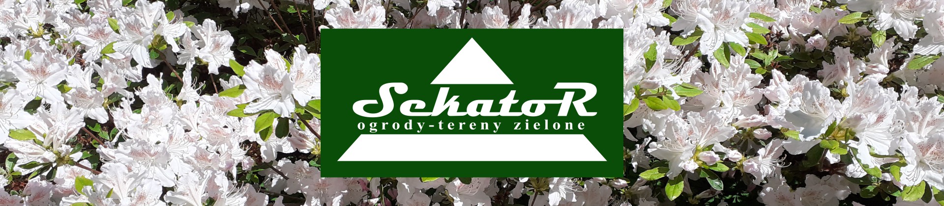 P.H.U. SEKATOR Wałbrzych